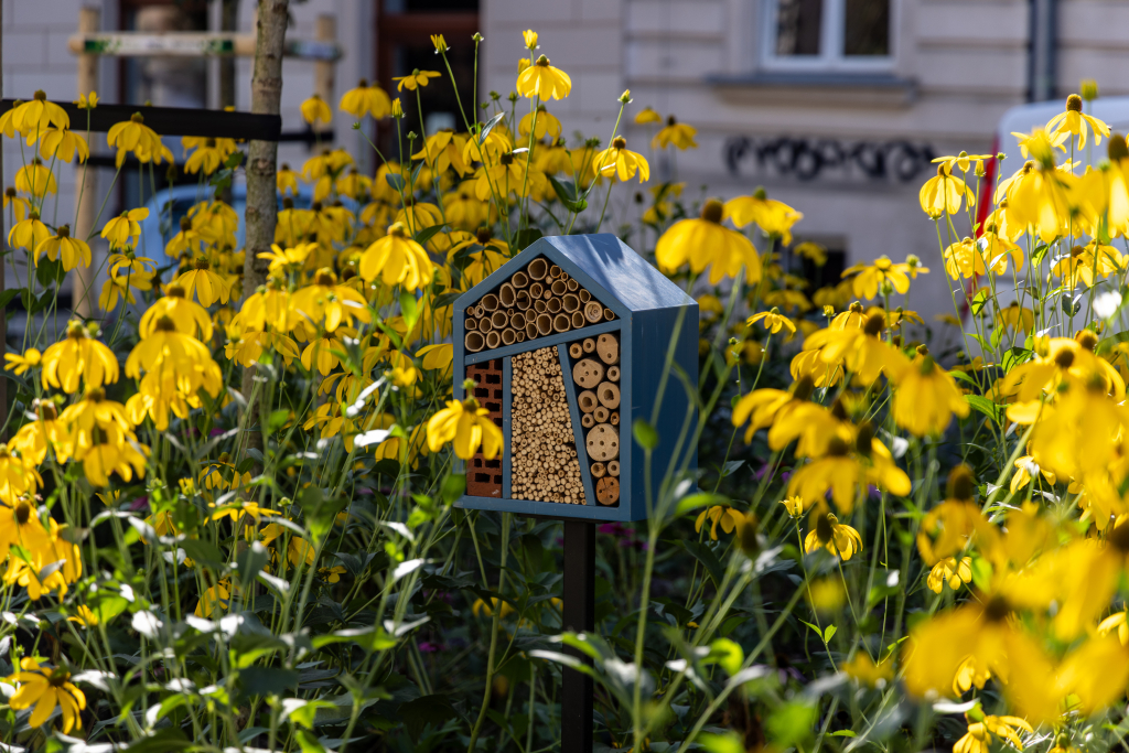 JG_250920_KRK_8L8A2150.jpg-Park kolejowy, Miszalski  Autor: B. Świerzowski