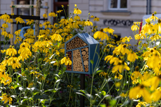 JG_250920_KRK_8L8A2150.jpg-Park kolejowy, Miszalski