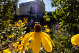 JG_250920_KRK_8L8A2788.jpg-Park kolejowy, Miszalski