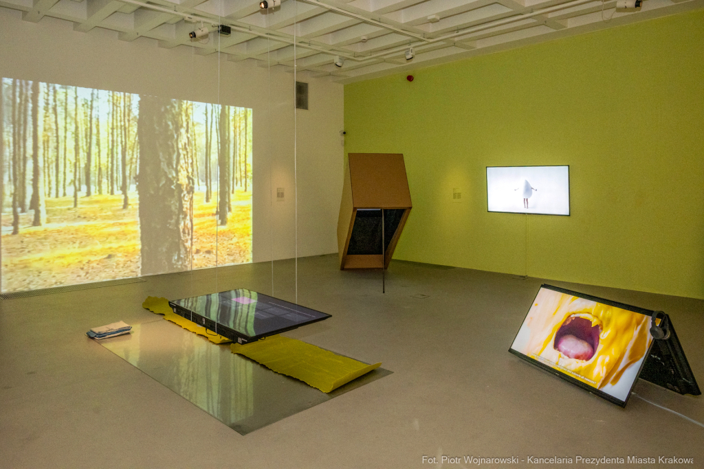 Miszalski, Jałowik, Bunkier Sztuki, jubileusz, 60 lat, wernisaż  Autor: P. Wojnarowski