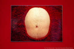 Miszalski, Jałowik, Bunkier Sztuki, jubileusz, 60 lat, wernisaż