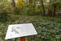 BSK_2930.jpg-Miszalski, Park Łokietka, otwarcie