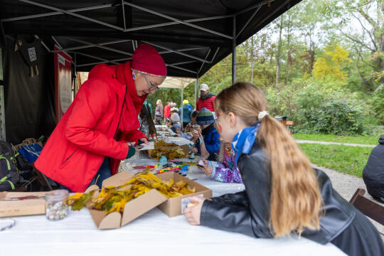 BSK_2957.jpg-Miszalski, Park Łokietka, otwarcie