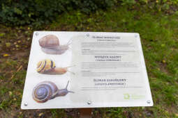 BSK_2999.jpg-Miszalski, Park Łokietka, otwarcie