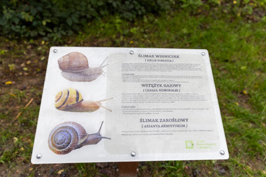 BSK_2999.jpg-Miszalski, Park Łokietka, otwarcie