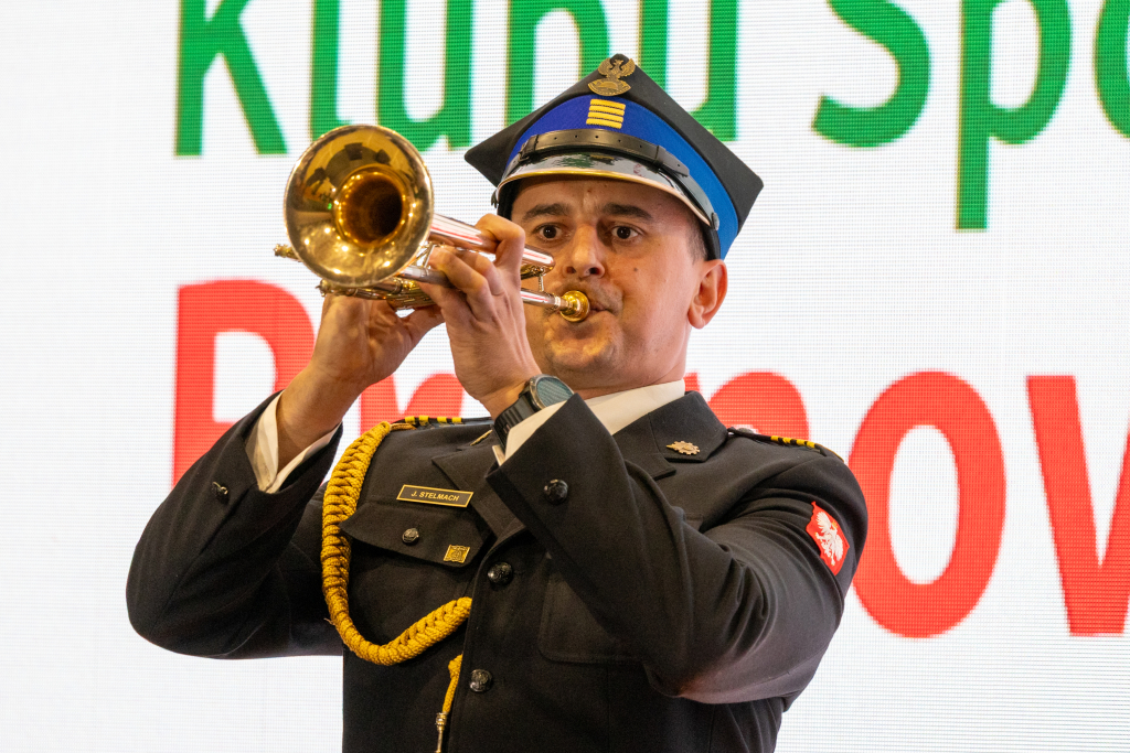 BSK_0892.jpg-Bronowianka, Sęk  Autor: B. Świerzowski