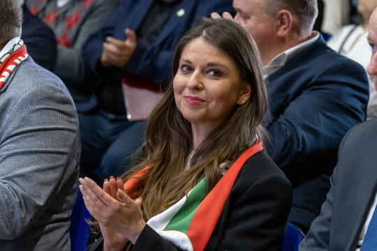 BSK_0938.jpg-Bronowianka, Sęk