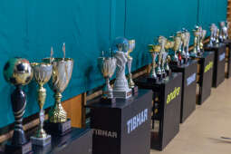 BSK_1032.jpg-Bronowianka, Sęk