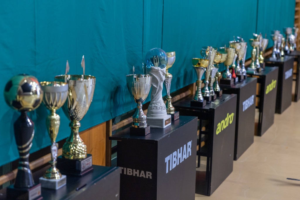 BSK_1032.jpg-Bronowianka, Sęk  Autor: B. Świerzowski