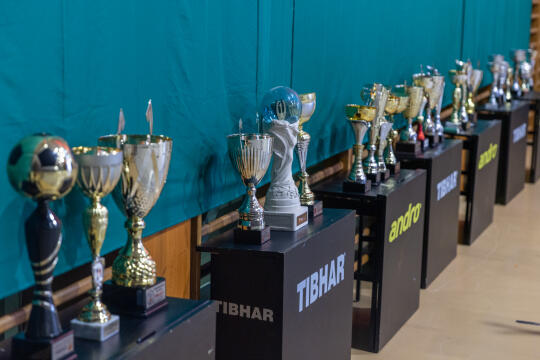 BSK_1032.jpg-Bronowianka, Sęk