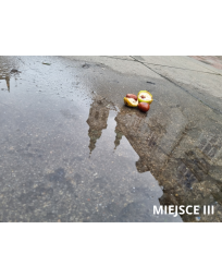 Miejsce III - Wanda Jabłońska-kasztany.png