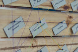 sIMG_6491.jpg-Edukacja klimatyczna poza schematami