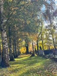 cm. Czerwone Maki 3.jpg