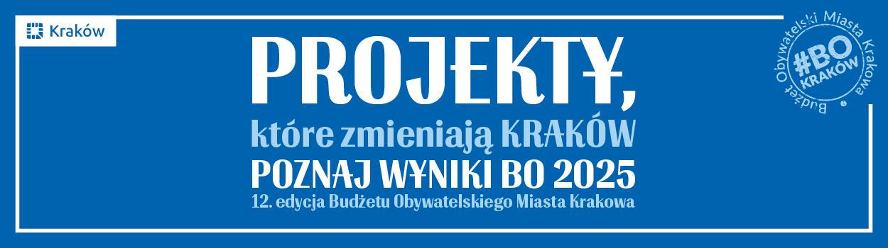 Budżet obywatelski 2025, wyniki