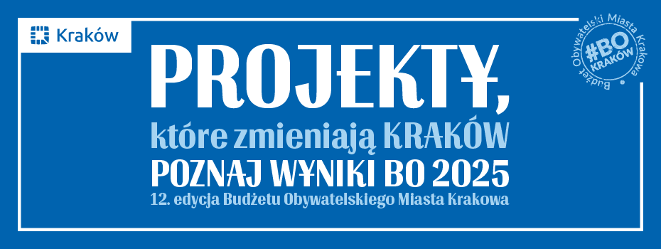 Budżet obywatelski 2025, wyniki