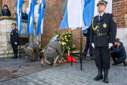 rocznica wyzwolenia, władza zaborcza, 107 lat, Kracik, Kosek, wieża ratuszowa, kwiaty, posłowie, 