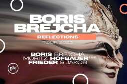 Logo: Boris Brejcha Reflections
