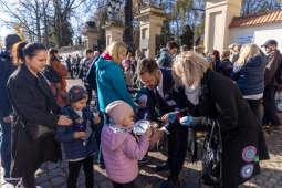 Kwesty na cmentarzach Rakowickim i Podgórskim z udziałem prezydenta Krakowa i jego zastępców