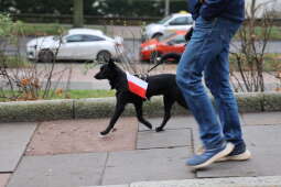 8L8A3474.jpg-11 listopada, Miszalski, Chamielec