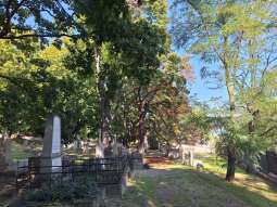 Stary Cmentarz Podgórski 4.jpg-Rewaloryzacja Starego Cmentarza Podgórskiego nabiera tempa