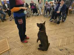 Wh1l356V.jpg-Kolejne spotkanie z psem Daktylem i jego Paniom.