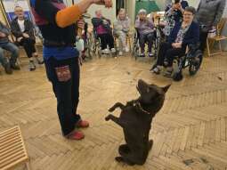 _NwNI0pS.jpg-Kolejne spotkanie z psem Daktylem i jego Paniom.