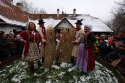 Zdjęcie 22.11.2025, 14 08 29.jpg