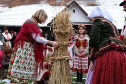 Zdjęcie 22.11.2025, 14 10 03.jpg