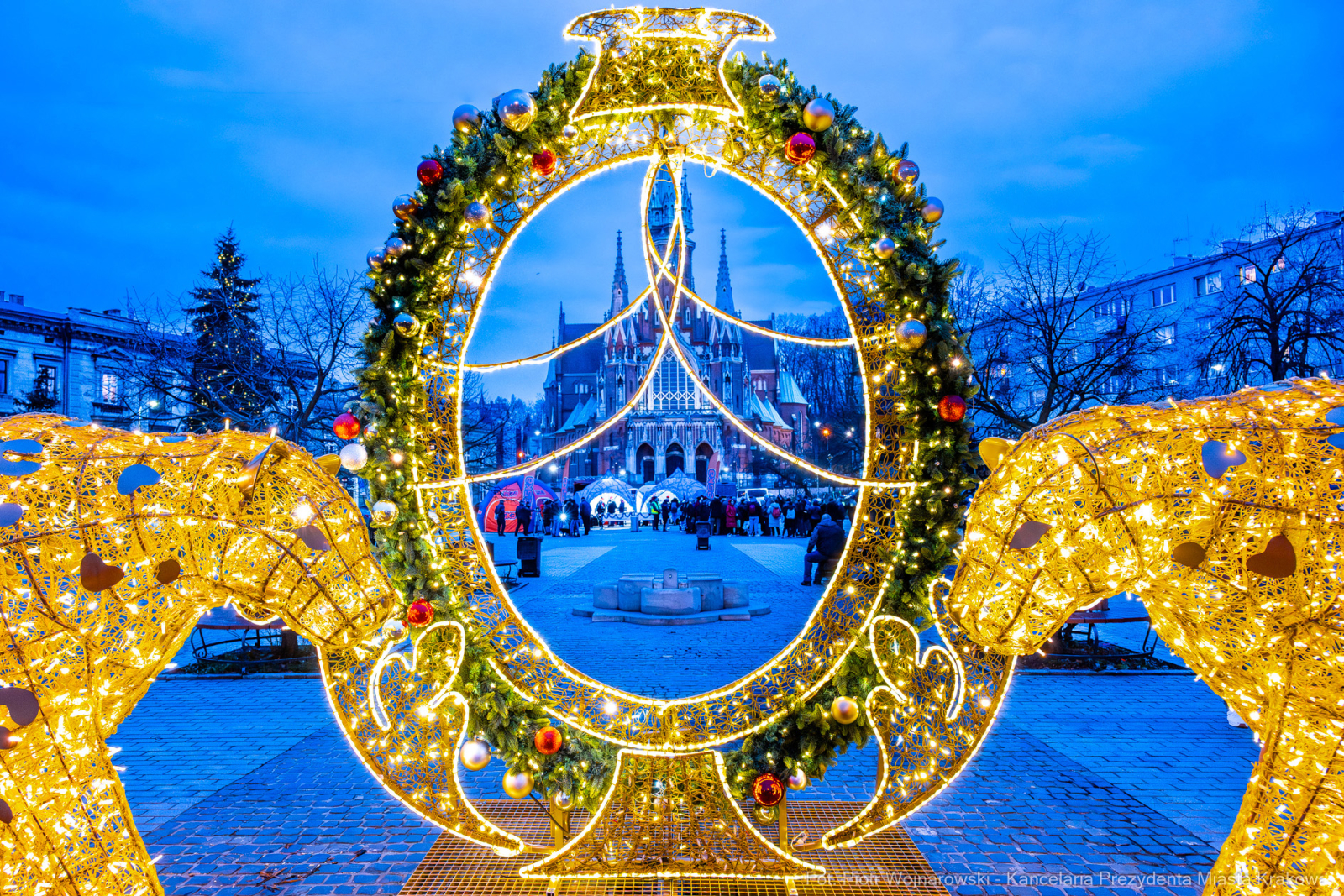 Karp dla Krakowian, Rynek Podgórski, Miszalski, Szczoczarz, zdjęcia  Autor: P. Wojnarowski