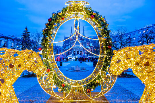 Karp dla Krakowian, Rynek Podgórski, Miszalski, Szczoczarz, zdjęcia