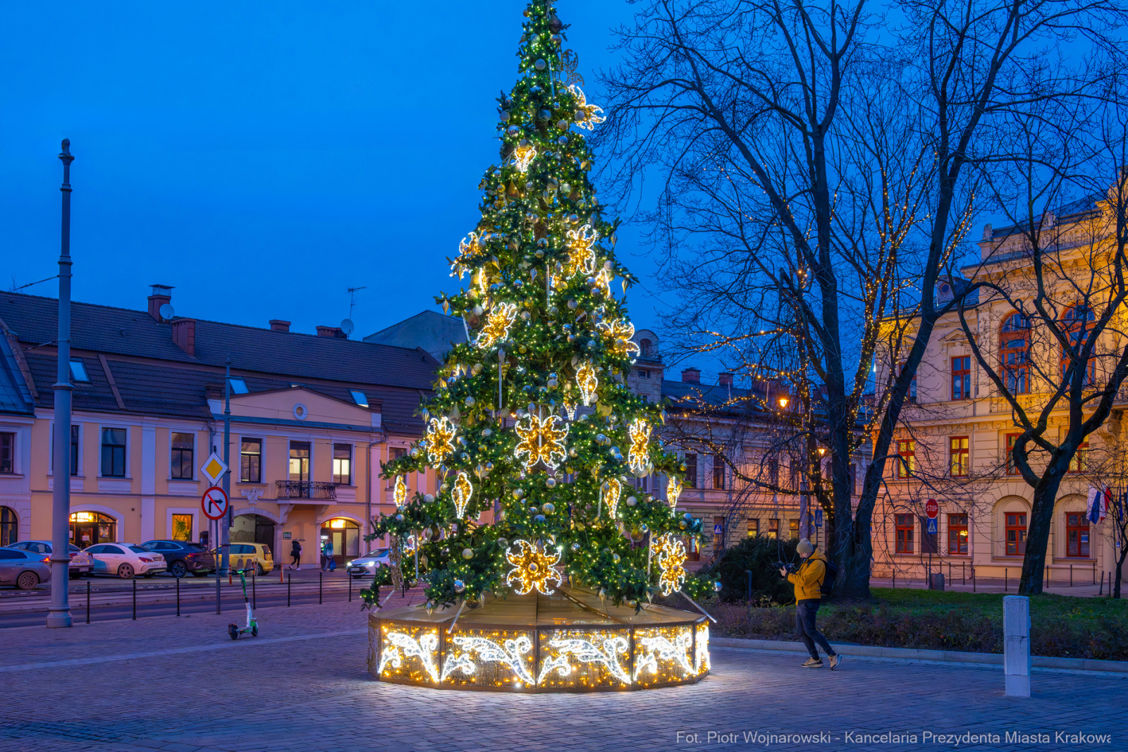 Karp dla Krakowian, Rynek Podgórski, Miszalski, Szczoczarz, zdjęcia  Autor: P. Wojnarowski