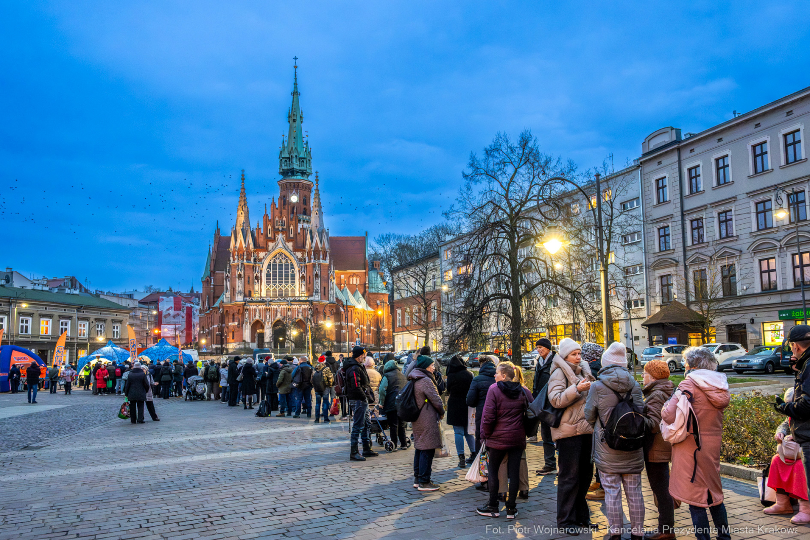 Karp dla Krakowian, Rynek Podgórski, Miszalski, Szczoczarz, zdjęcia  Autor: P. Wojnarowski