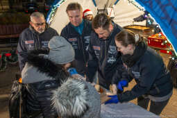 Karp dla Krakowian, Rynek Podgórski, Miszalski, Szczoczarz, zdjęcia