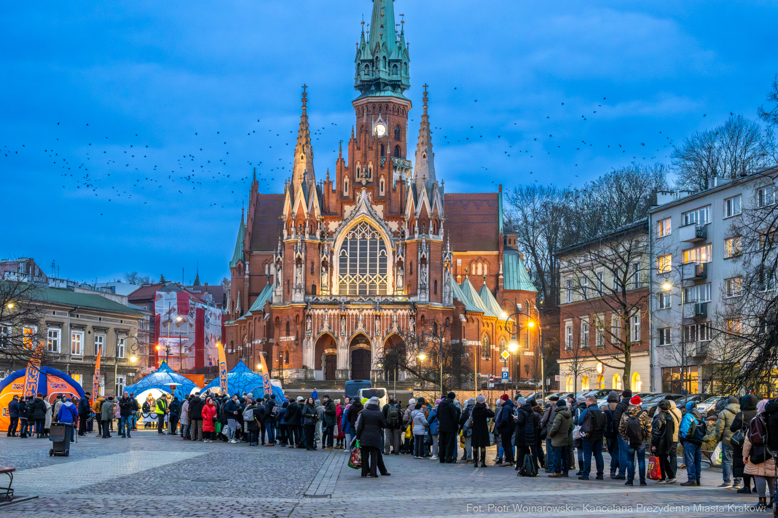 Karp dla Krakowian, Rynek Podgórski, Miszalski, Szczoczarz, zdjęcia  Autor: P. Wojnarowski