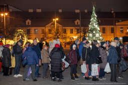 Karp dla Krakowian, Rynek Podgórski, Miszalski, Szczoczarz, zdjęcia