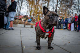 IMG_0253.jpg-Przekazanie towarów do schroniska