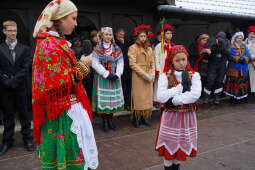 Chochol08.jpg-Osadzanie Chochoła SP50