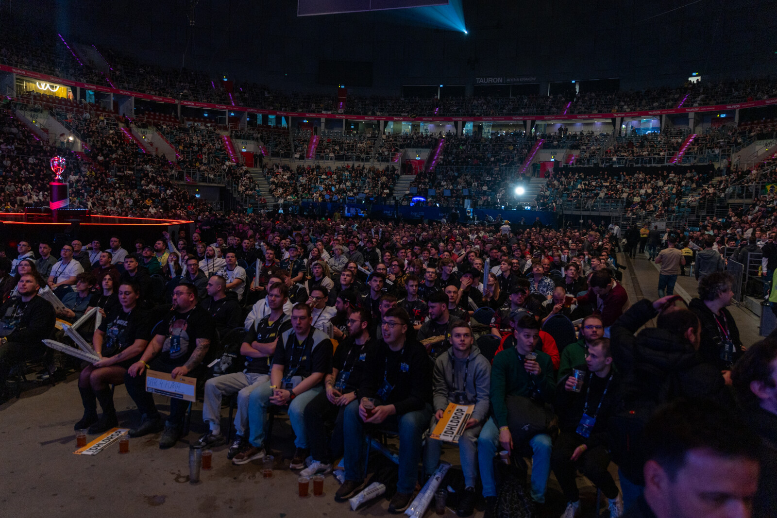 0S4A8141.jpg-Intel, Tauron, MISZALSKI, Sęk  Autor: B. Świerzowski