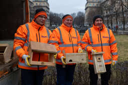 0S4A1122.jpg-Budki lęgowe na walentynki