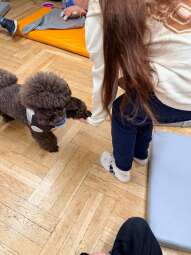 9.jpg-KOT gości psa