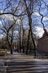 _C6B2235.jpg-Planty Krakowskie - Zakopianka