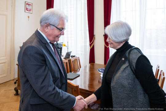 Kracik, François Daubin, spotkanie, Orlean, skauting, zdjęcia