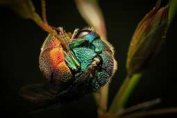 NCK Barwy świata przyrody 2026--Krzysztof Morańda.jpg