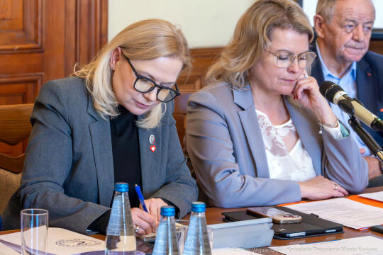 Miszalski, obrady, zespół parlamentarny, bezpieczeństwo medyków, Piątkowska, Fedorowicz, Bednar