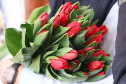 Zdjęcie 8.03.2026, 13 18 27.jpg