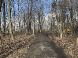 IMG_3048.jpg-Nowa ścieżka powstaje w lesie koło Bonarki