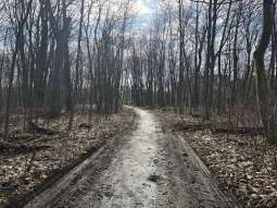 IMG_3052.jpg-Nowa ścieżka powstaje w lesie koło Bonarki