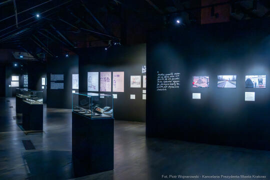 PW_704_ 052_fot. Piotr Wojnarowski.jpg-Rok Wajdy, Inauguracja, Manggha, wystawa