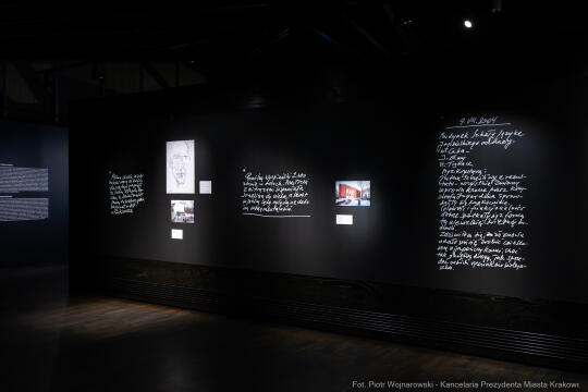 PW_704_ 054_fot. Piotr Wojnarowski.jpg-Rok Wajdy, Inauguracja, Manggha, wystawa