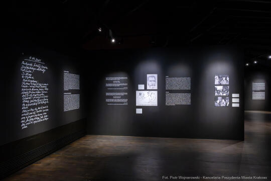 PW_704_ 056_fot. Piotr Wojnarowski.jpg-Rok Wajdy, Inauguracja, Manggha, wystawa